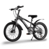 Disc Brake Kids Mountain Bike 20inch